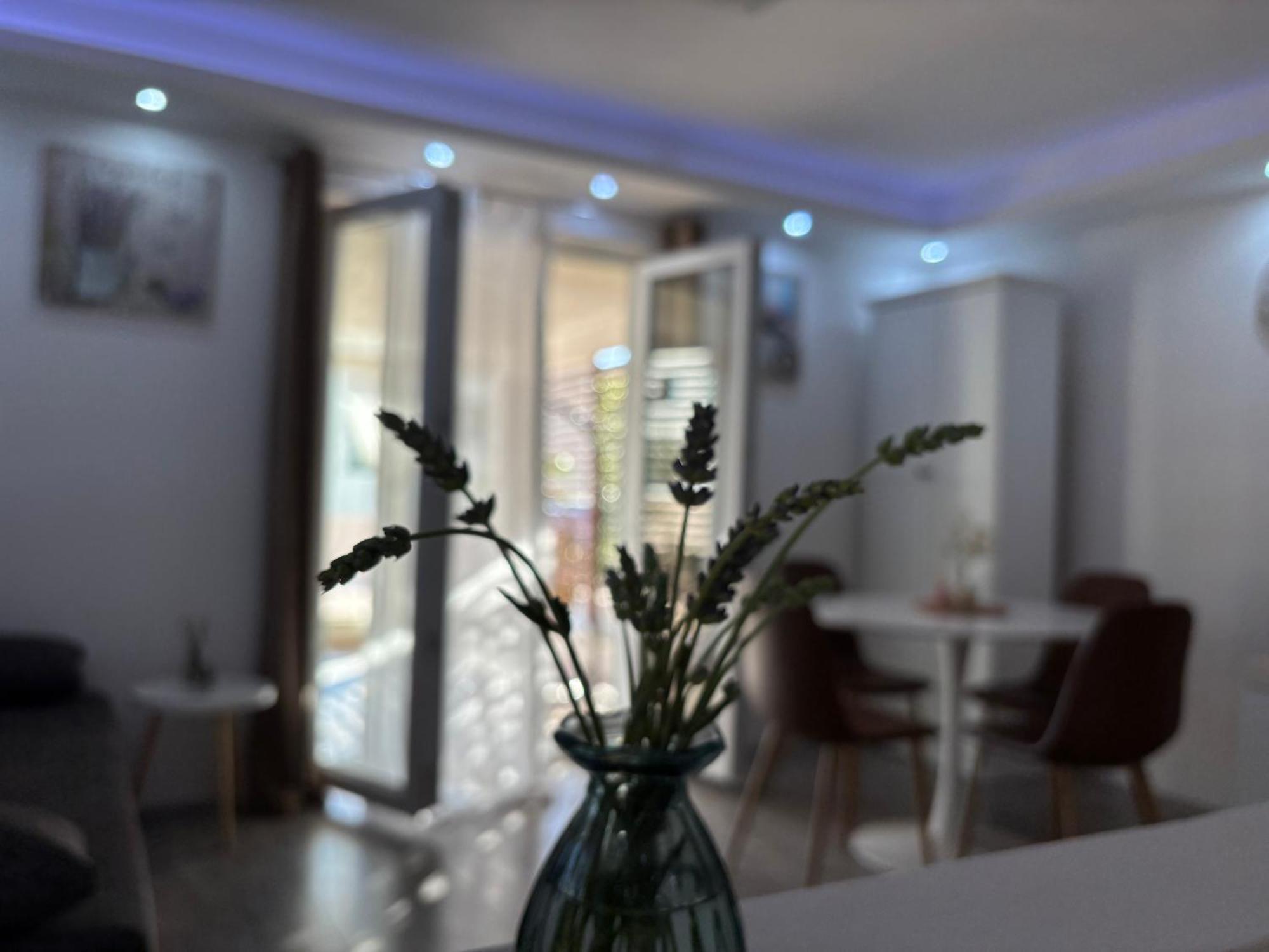 Luxury Apartman Nr Szybenik Zewnętrze zdjęcie
